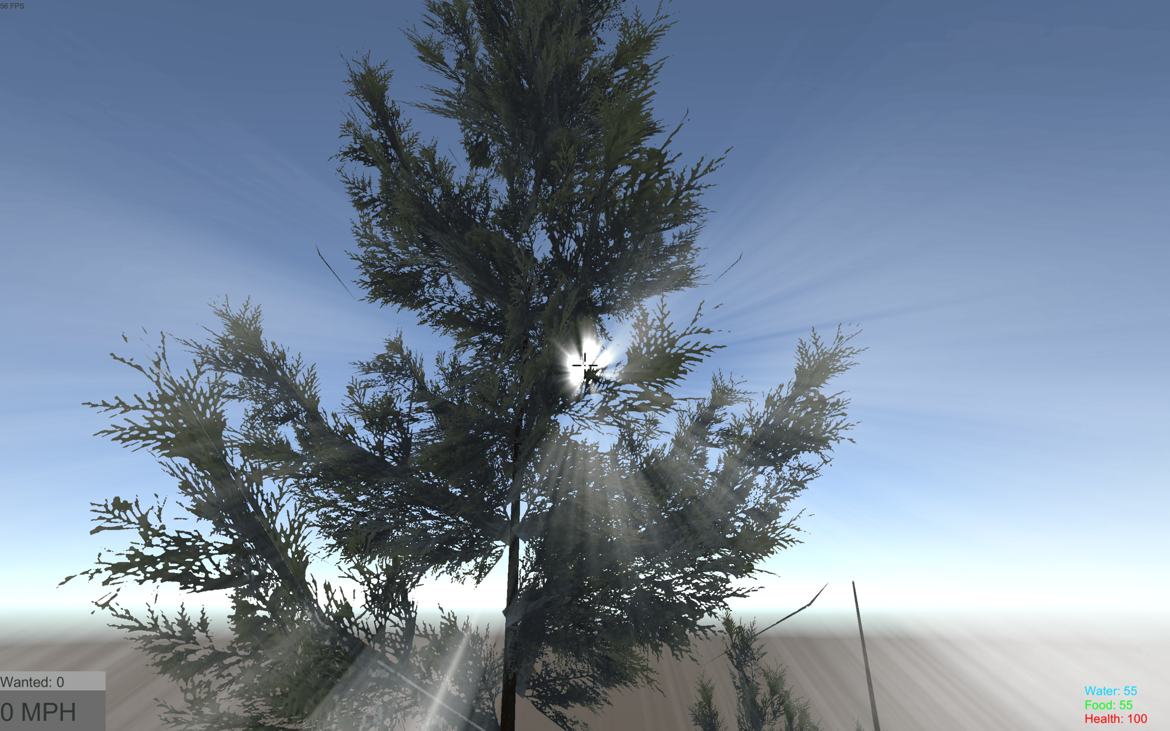 Sun rays shine through single virtual tree