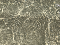 A 12 inch stretch of crystal clear water from a top-down view, with light colored sand a few inches below the surface