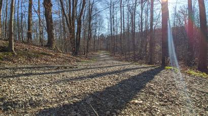 An image taken from the ground, pointing down a gravel trail