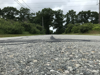 An image from the ground, pointing down an un-lined asphalt road with trees over-aching on either side