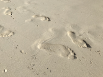 A few foot prints imprinted on the sand